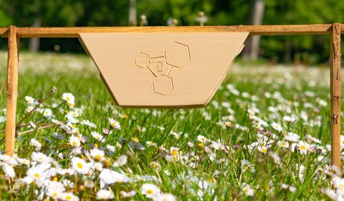aproneX im Kurzinterview - GPS Tracker und Fernüberwachung für das Bienenvolk