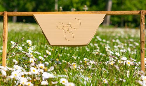 aproneX im Kurzinterview - GPS Tracker und Fernüberwachung für das Bienenvolk