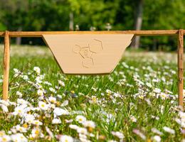 aproneX im Kurzinterview - GPS Tracker und Fernüberwachung für das Bienenvolk