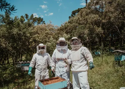 Digitale Bienenstocküberwachung: Lohnt sich eine Stockwaage?