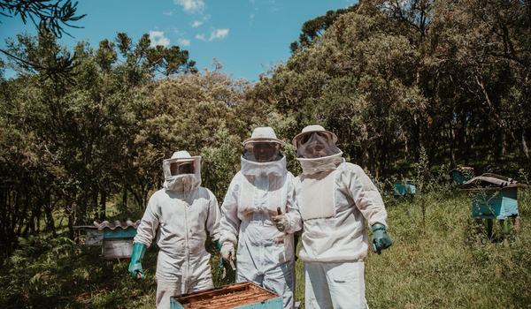 Imker am Bienenstand mit Stockwaage