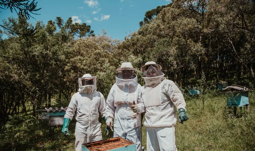 Digitale Bienenstocküberwachung: Lohnt sich eine Stockwaage?