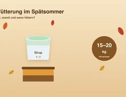 Auffütterung im Spätsommer – Winterfutter Infografik