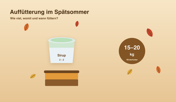 Auffütterung im Spätsommer – Winterfutter Infografik