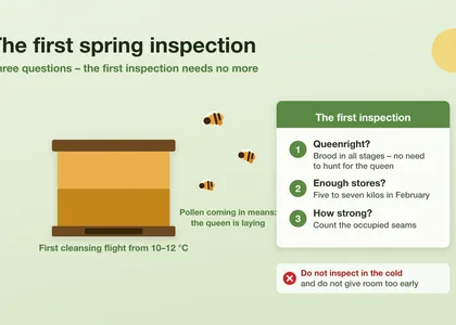 The first spring inspection: three questions, no more