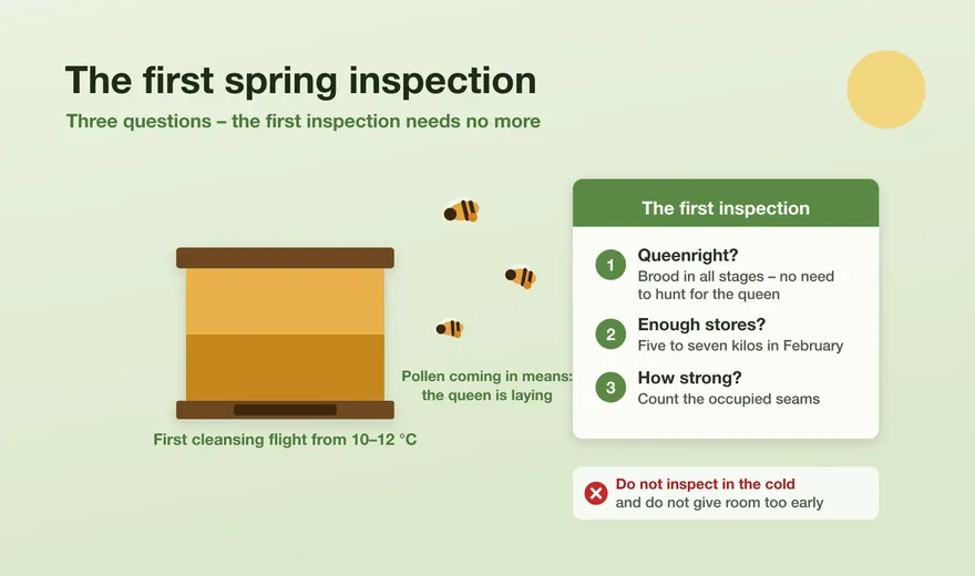 The first spring inspection: three questions, no more