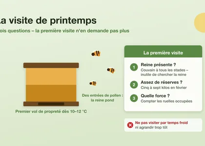 La première visite de printemps : trois questions, pas plus