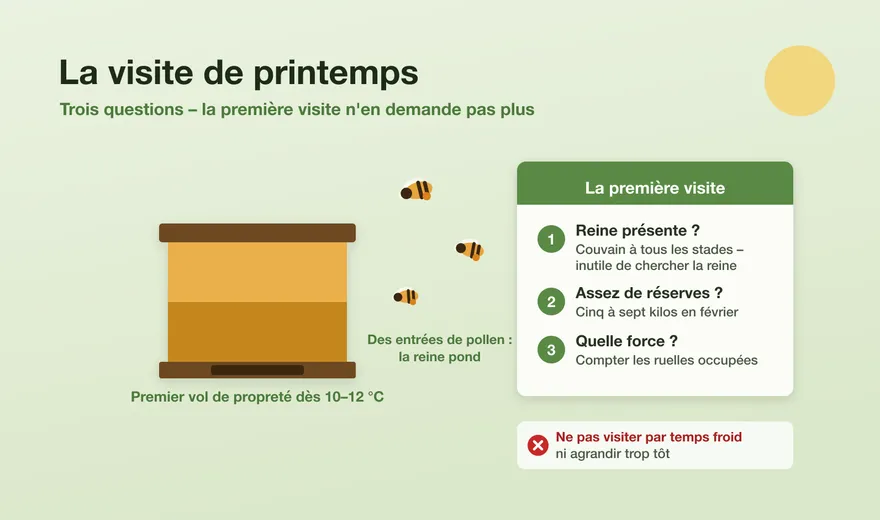 La première visite de printemps : trois questions, pas plus