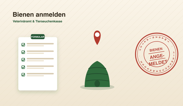 Bienen anmelden bei Veterinäramt und Tierseuchenkasse – Infografik