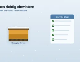 Bienen einwintern Checkliste – Infografik