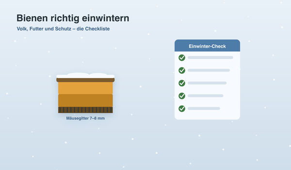 Bienen einwintern Checkliste – Infografik