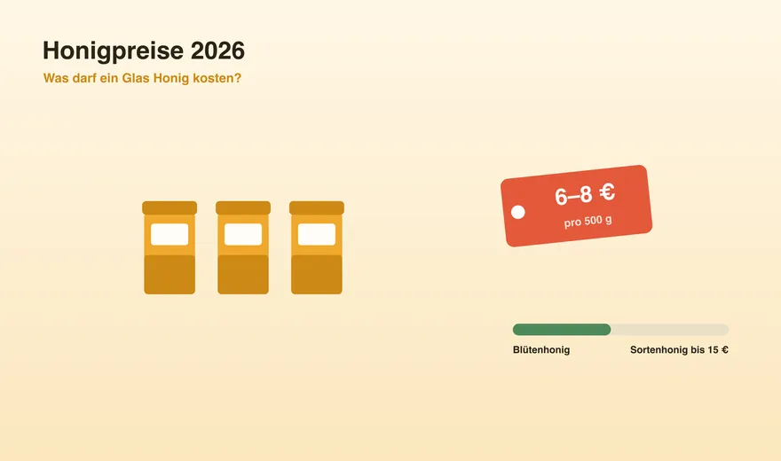 Honigpreise 2026: Was darf ein Glas Honig kosten?