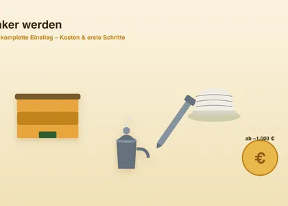 Becoming a beekeeper: the complete start with costs and first steps