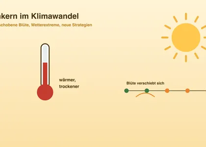 Imkern im Klimawandel: Herausforderungen und Anpassung