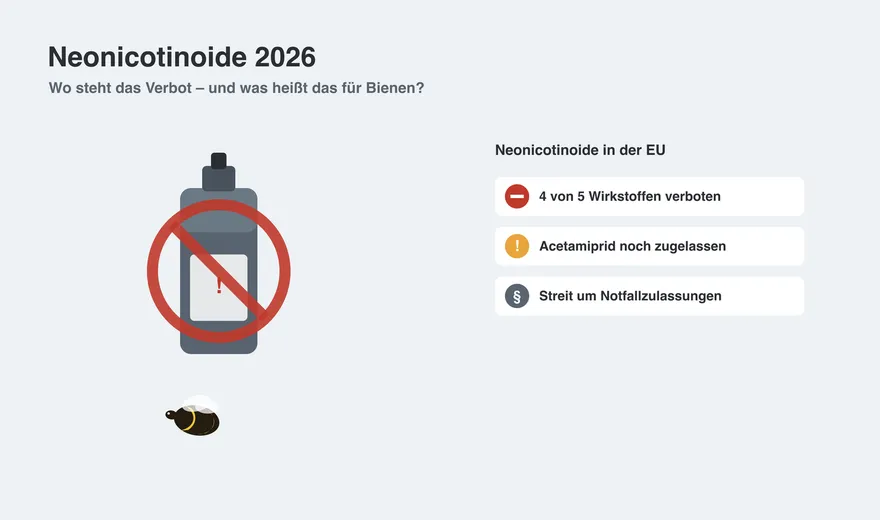 Neonicotinoide 2026: Wo steht das Verbot – und was heißt das für Bienen?