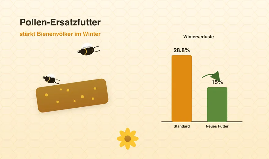 Pollen-replacing feed halves winter losses – what the new long-term study shows