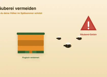 Räuberei vermeiden: So schützt du deine Völker im Spätsommer