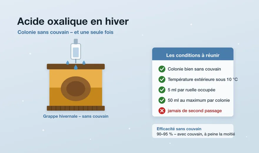 Acide oxalique en hiver : moment, dosage, méthodes