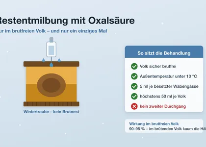 Restentmilbung mit Oxalsäure: Zeitpunkt, Dosierung, Verfahren