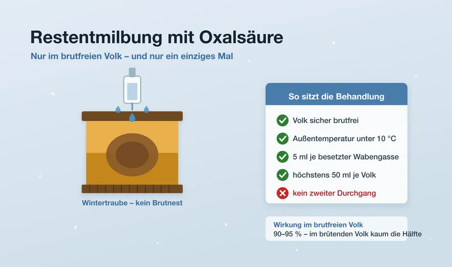 Restentmilbung mit Oxalsäure: Zeitpunkt, Dosierung, Verfahren