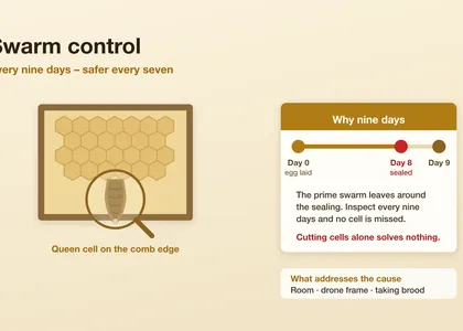 Swarm control: the nine-day cycle and what actually works