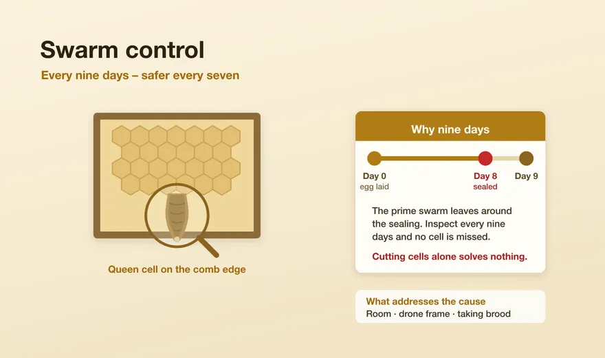 Swarm control: the nine-day cycle and what actually works