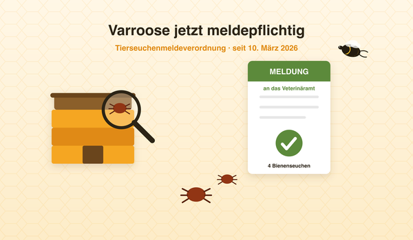 Varroose meldepflichtig seit März 2026 – Infografik