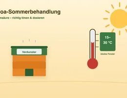 Varroa-Sommerbehandlung mit Ameisensäure – Infografik