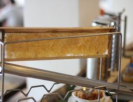 Wassergehalt im Honig messen