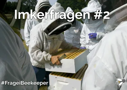 Alles neu - Bienenwohnung, Stockmeißel und Co.