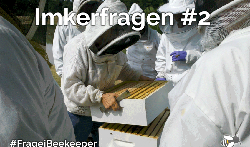 Alles neu - Bienenwohnung, Stockmeißel und Co.