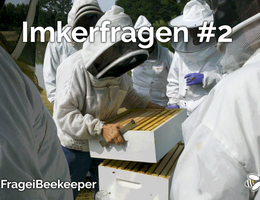 Alles neu - Bienenwohnung, Stockmeißel und Co.