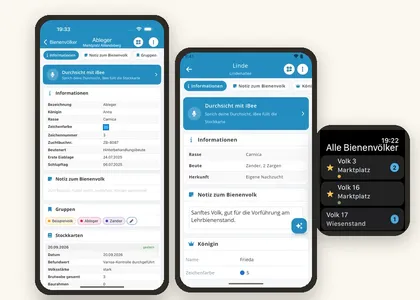 Bienenvolk in der iPhone-App und in der Android-App Bienenvölker, daneben die Bienenvölker auf der Apple Watch