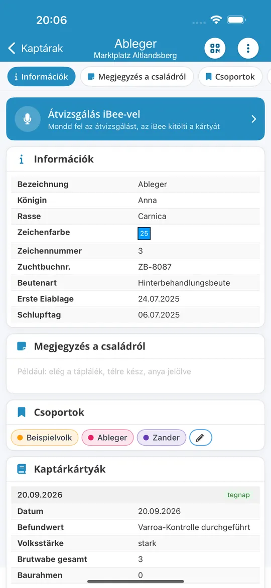 Méhcsalád az iPhone-appban az „Átvizsgálás iBee-vel” gombbal