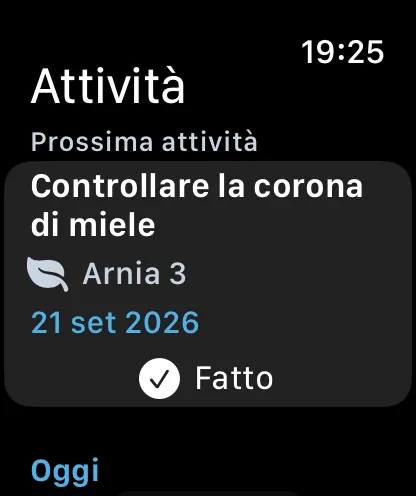 Attività su Apple Watch
