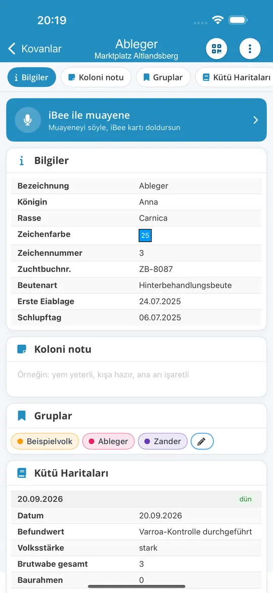 iPhone uygulamasında “iBee ile muayene” düğmesiyle bir koloni