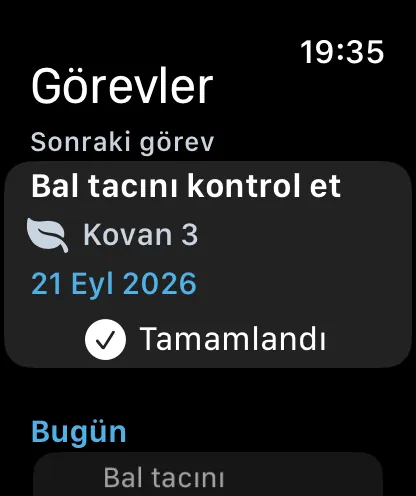 Apple Watch'ta görevler